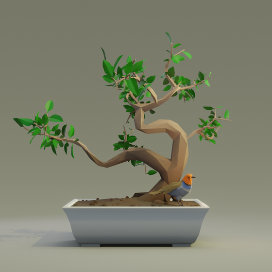 Bonsai #5661