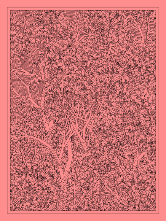Entangled #251