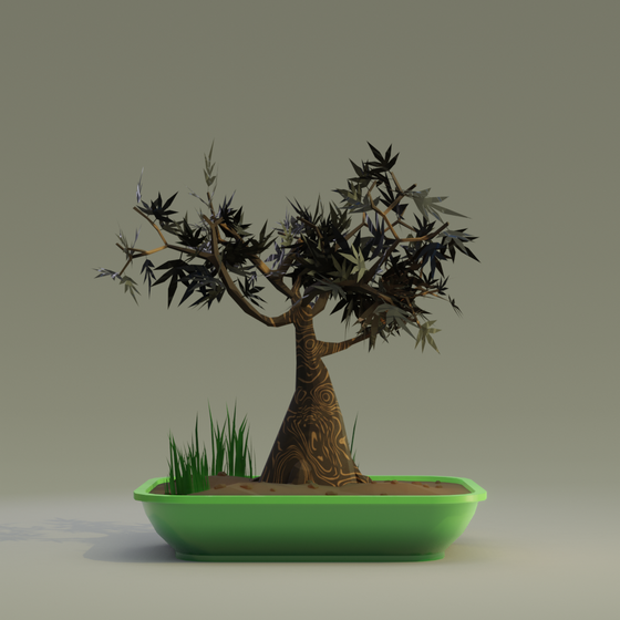 Bonsai #3483