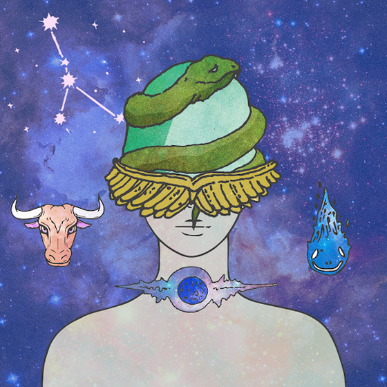 Divine Order of the Zodiac #8477