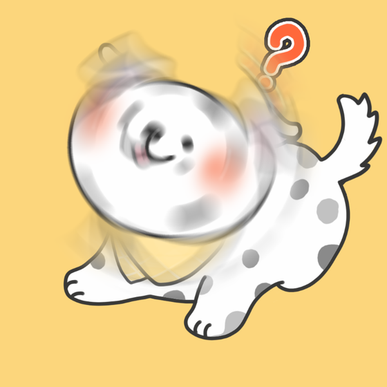 DogDrill#397