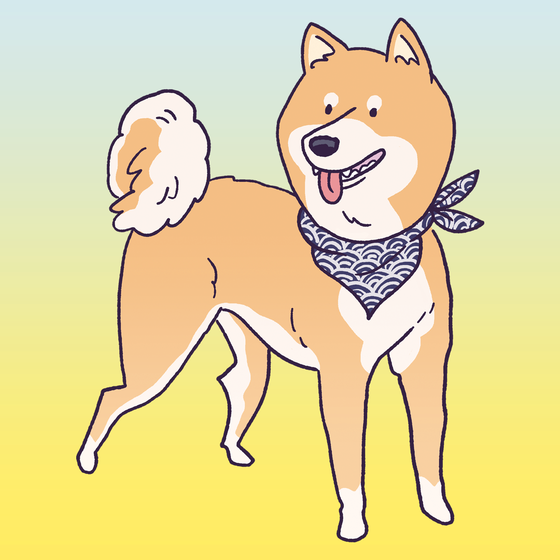 Shiba Inu #305