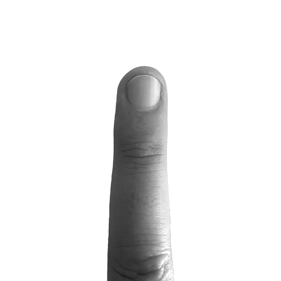 Ethereum Finger