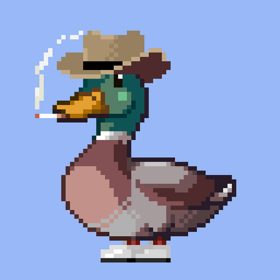 Mallard #9807