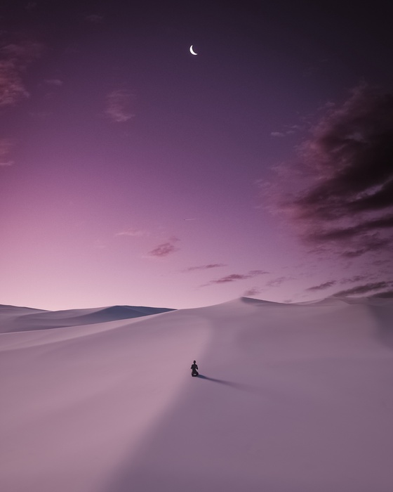 DUNESCAPE XIV