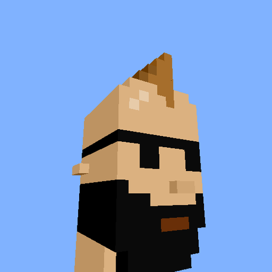 PunkVoxels #0358