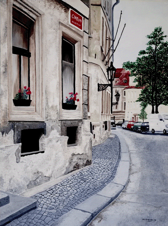 Light of Czech Street Landscape