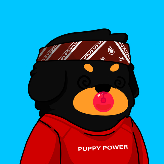 Puppy #531
