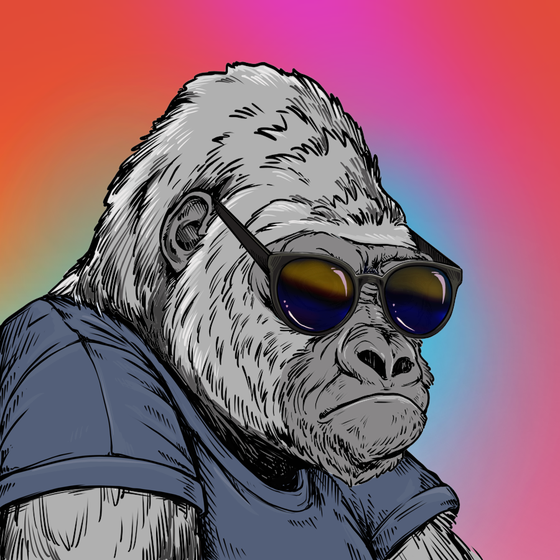 Silverback #118