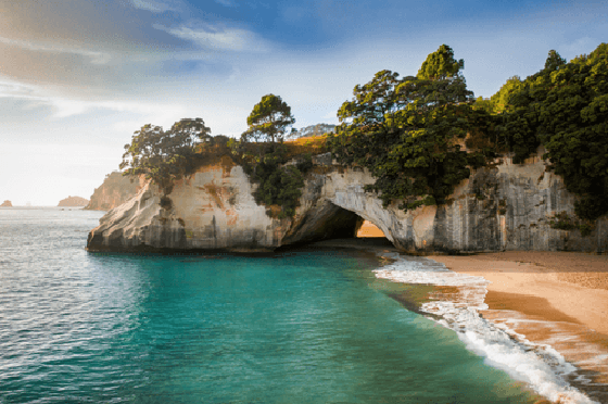 The Cove