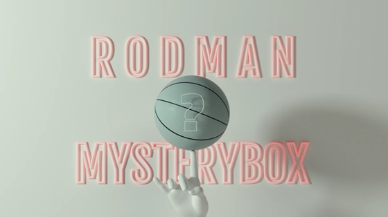 Dennis Rodman Mystery Box