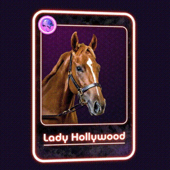 Lady Hollywood Jockey Club #83