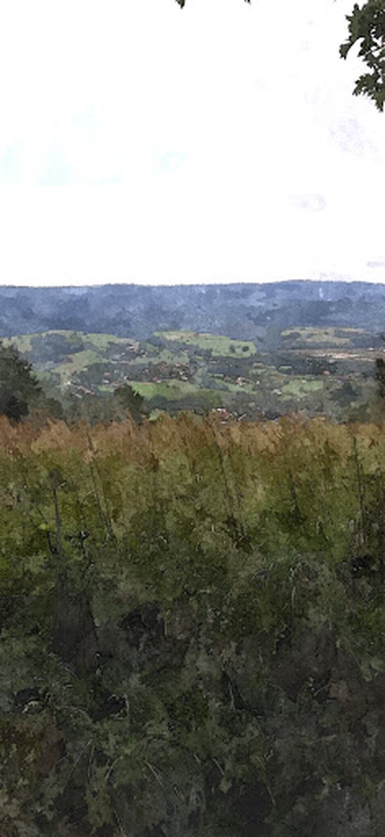 On The Hill