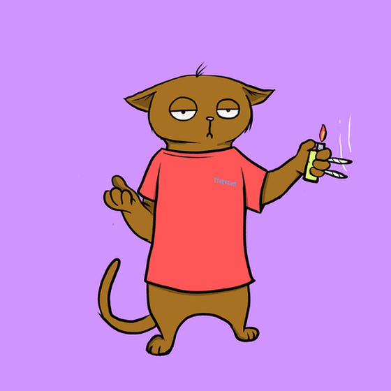 Blazed Cat #6636