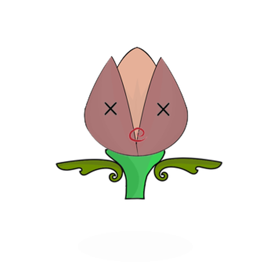 Tulipa dinormieus