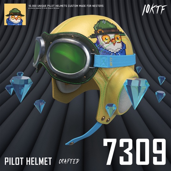 Moonbird Pilot Helmet #7309