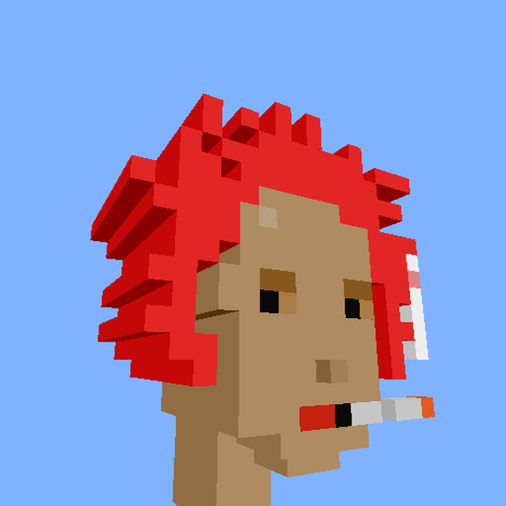 PunkVoxels #8977