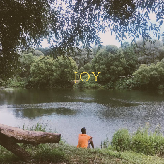 "Joy ft. Trent" by KRP #4