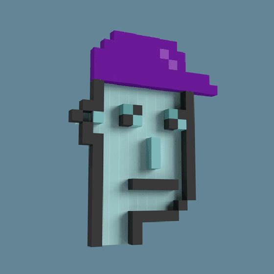 True 3D 8-Bit CryptoPunk #2890
