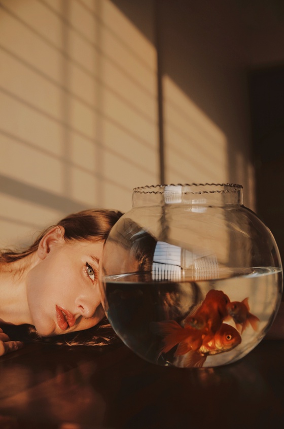 GOLDFISH 04