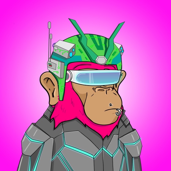 Seoul Ape #1495