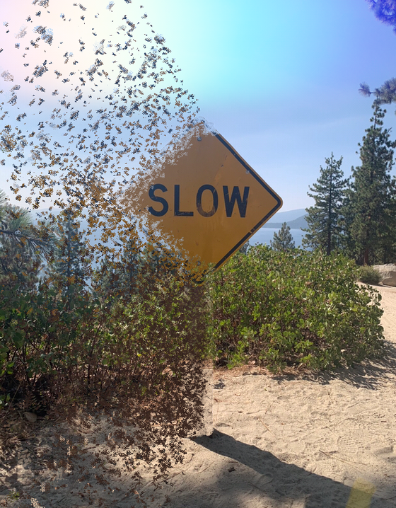 #65840837150932259757973401188280810940