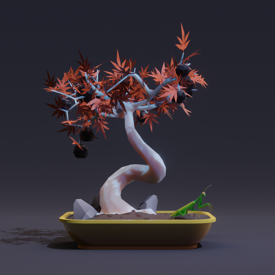 Bonsai #4333