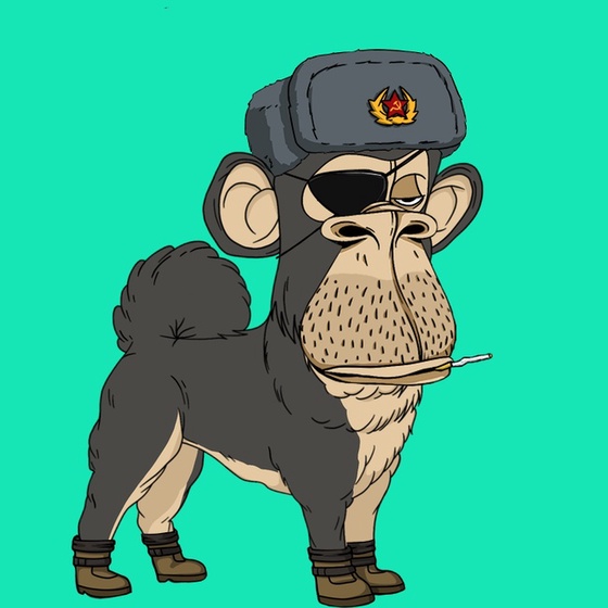 Kennel Ape #9116