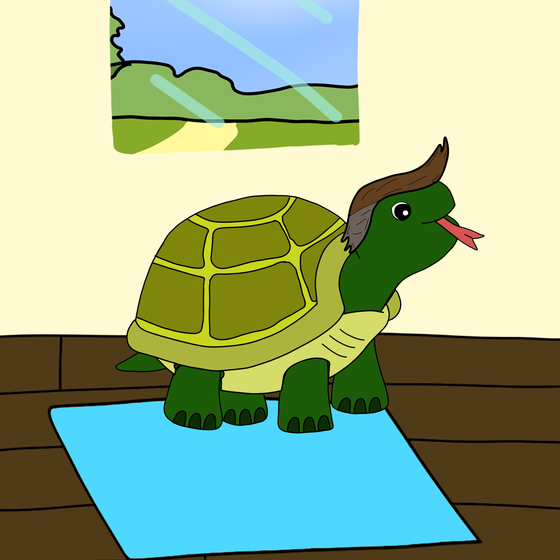 Turtle #5257