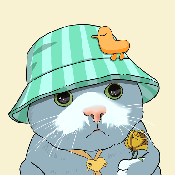 Puzzled cat #1543