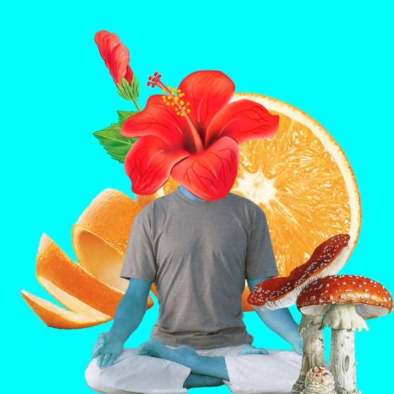 Guru #254