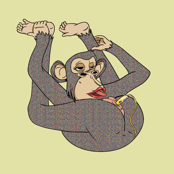 LADY APE YOGA CLUB #7170