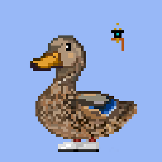 Mallard #1857