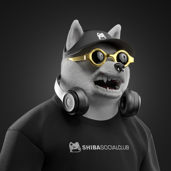 Shiba #4476