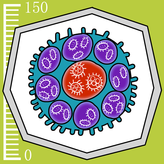 310