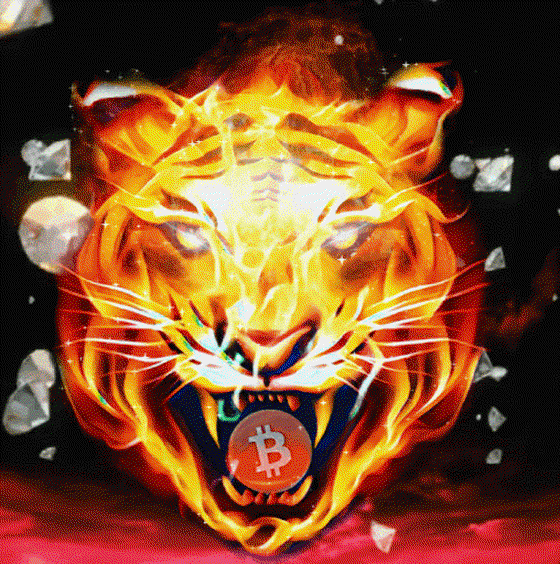 Bitcoin Tiger