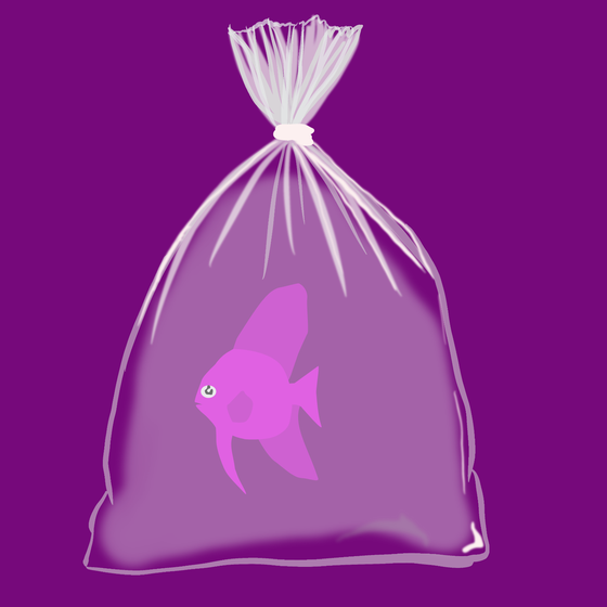 Feesh #2227
