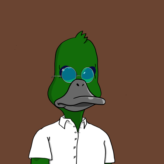 Duck #1071