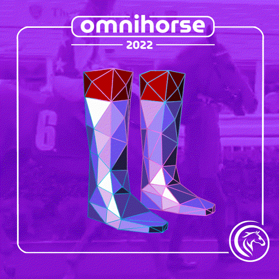 Omnihorse Boots #180