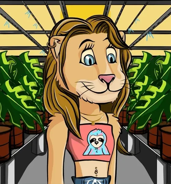 GENESIS ELDER LION 007