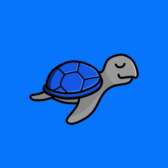 Toddler Turtle #564