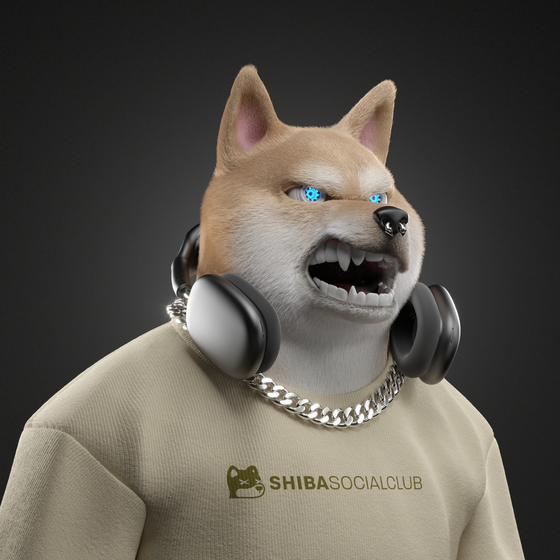 Shiba #5336