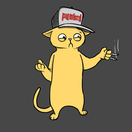 Blazed Cat #932