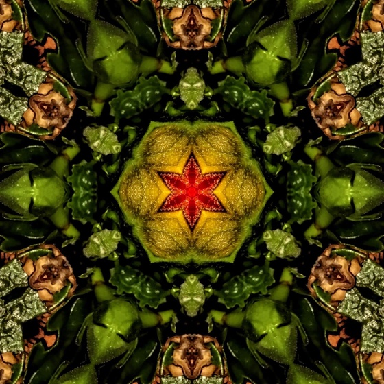 Kaleidoscope