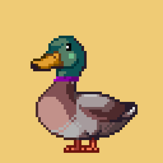 Mallard #1529