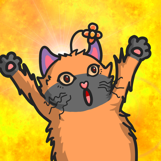 Do Not Shoot Me #779