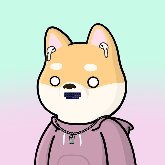 Shibe #4205