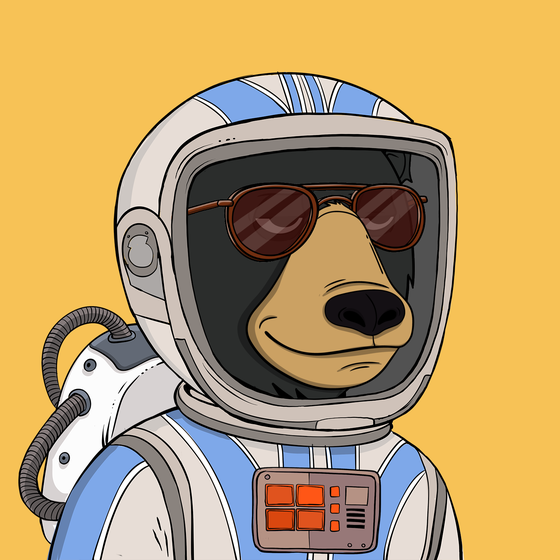 Okay Space Bear #1729