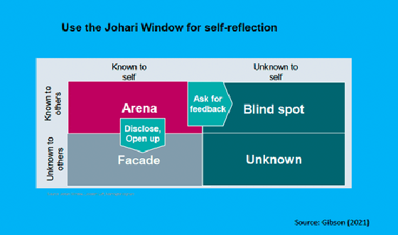 the Johari Window