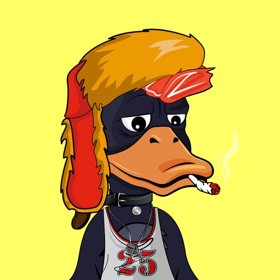 Slacker Duck #721